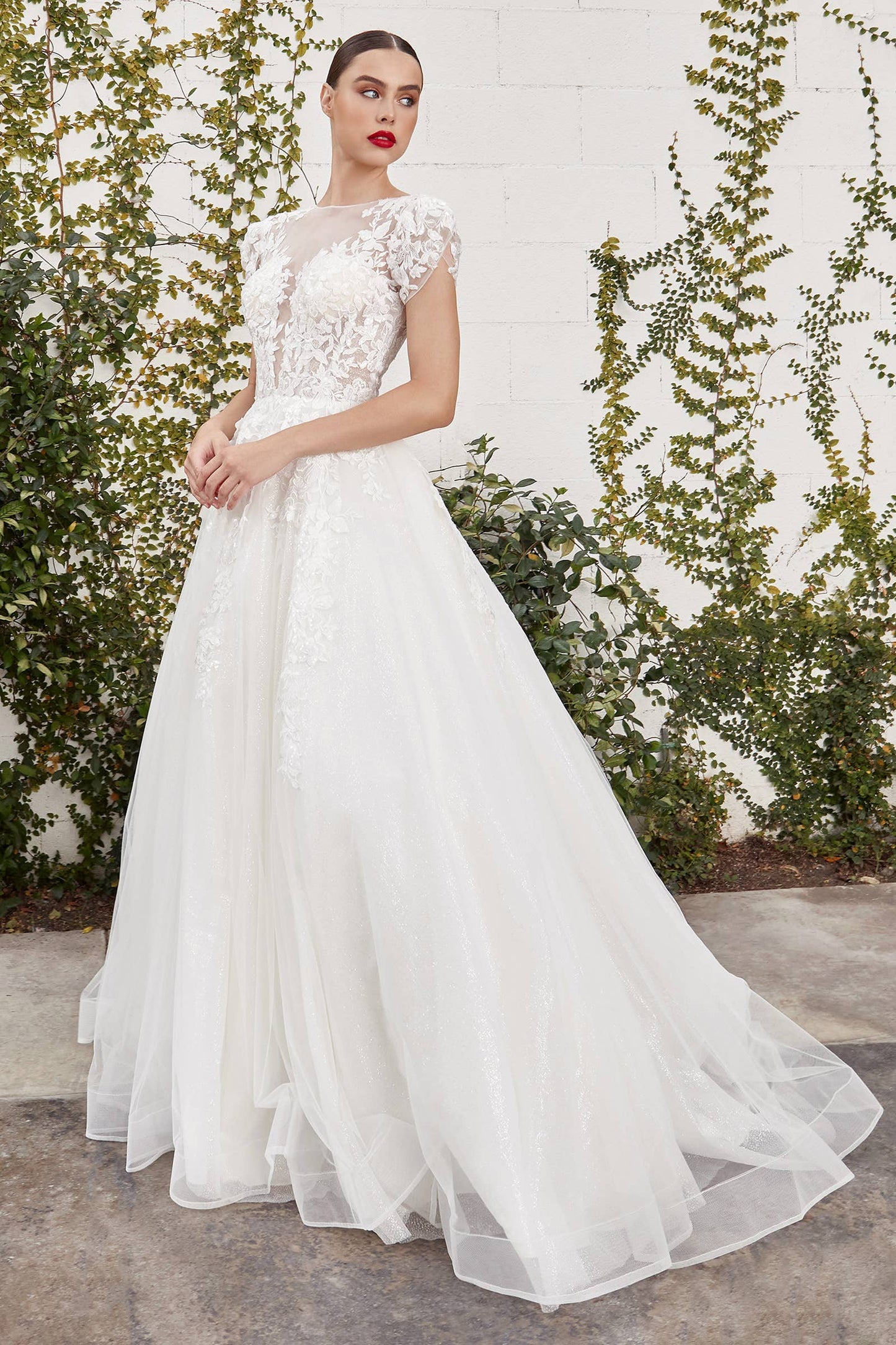CATHERINE CAP SLEEVE LACE BALL GOWN: Off-White / 8