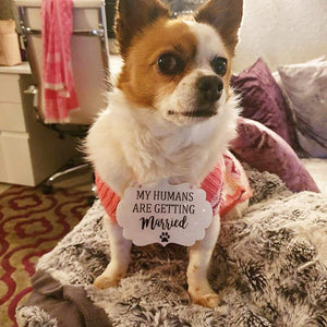 Dog Wedding Sign