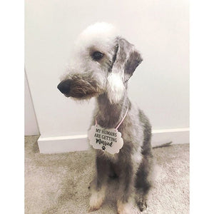 Dog Wedding Sign