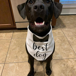 Best Dog of Honor Bandana