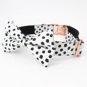 Polka dots Dog Collar and Lease Set