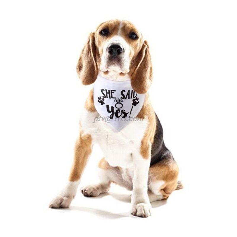 Dog Wedding Bandana My Humans are Getting Married She Said Yes Pet Triangle Bib Scarf Neckerchief Engagement Announcemet|Dog Accessories|