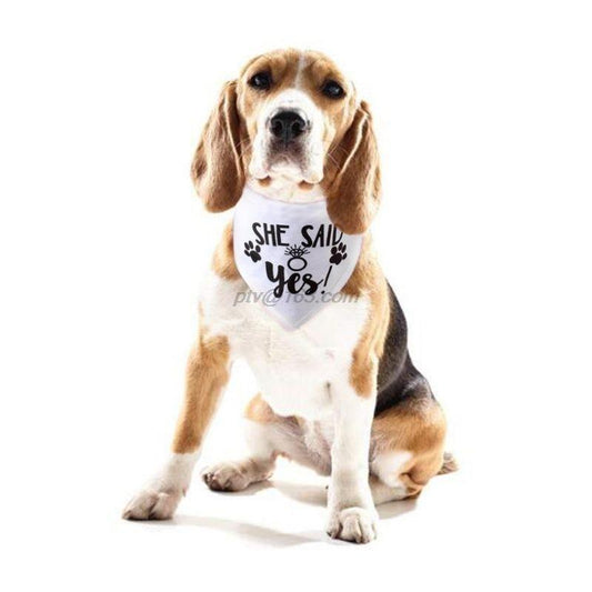 Dog Wedding Bandana My Humans are Getting Married She Said Yes Pet Triangle Bib Scarf Neckerchief Engagement Announcemet|Dog Accessories|