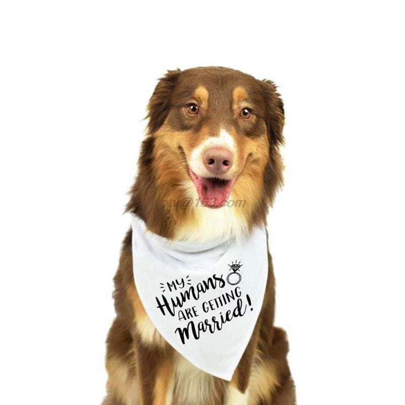 Dog Wedding Bandana My Humans are Getting Married She Said Yes Pet Triangle Bib Scarf Neckerchief Engagement Announcemet|Dog Accessories|