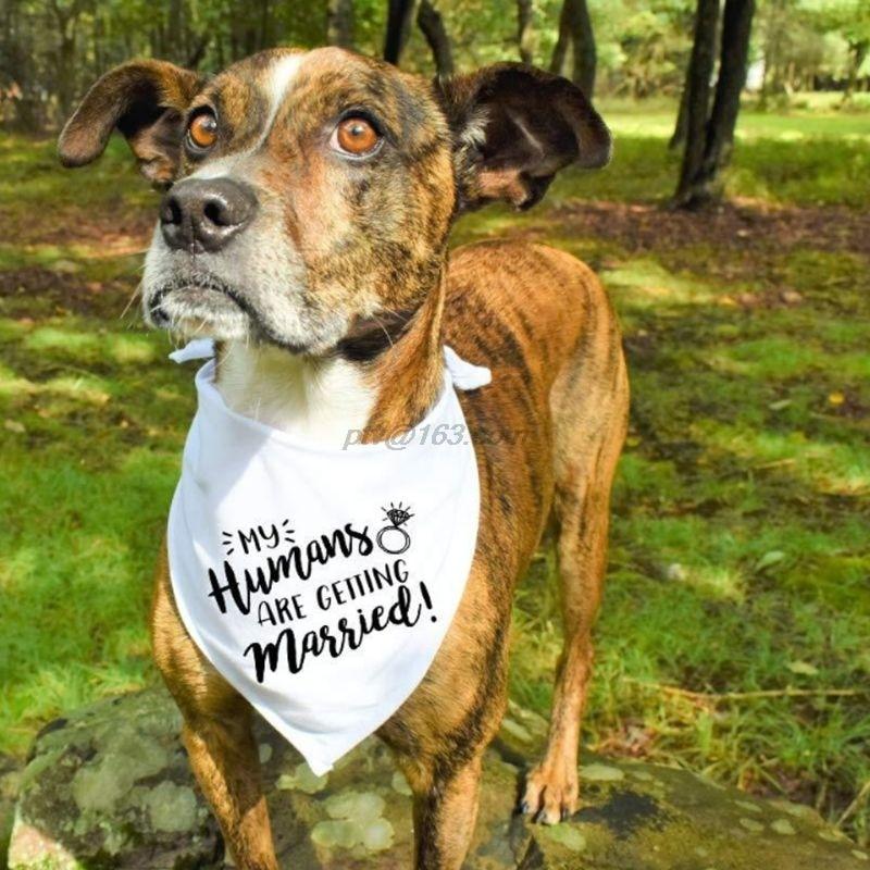 Dog Wedding Bandana My Humans are Getting Married She Said Yes Pet Triangle Bib Scarf Neckerchief Engagement Announcemet|Dog Accessories|