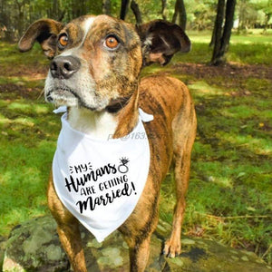 Dog Wedding Bandana My Humans are Getting Married She Said Yes Pet Triangle Bib Scarf Neckerchief Engagement Announcemet|Dog Accessories|