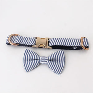 Blue Stripe dog bowtie collar & Lease