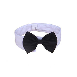 Wedding Dogs Adjustable Bow Tie Collar Necktie